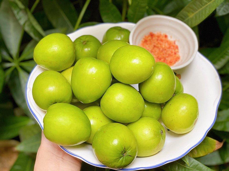 Táo Xuân Bắc Giang Giống Táo Mới Đột Phá Trong Nông Nghiệp Việt Nam